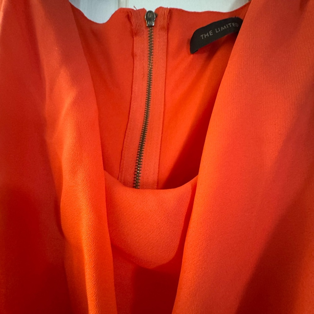 The Limited Orange Sleeveless Dress - Picture 11 of 12